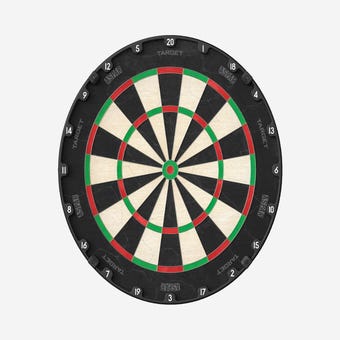 Target Darts Aspar Professional Dartboard - Front View
