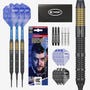 Josh Rock Brass Soft Tip Darts Set